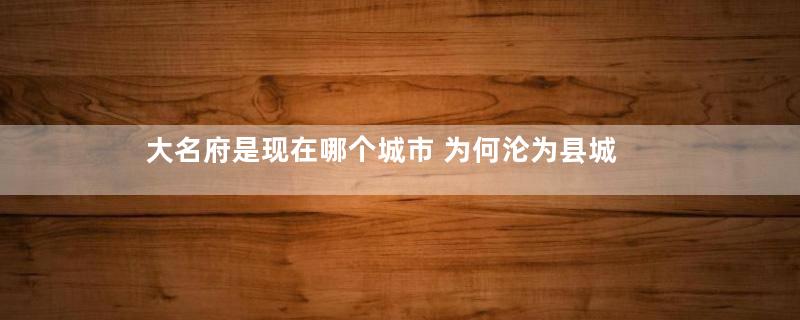 大名府是现在哪个城市 为何沦为县城